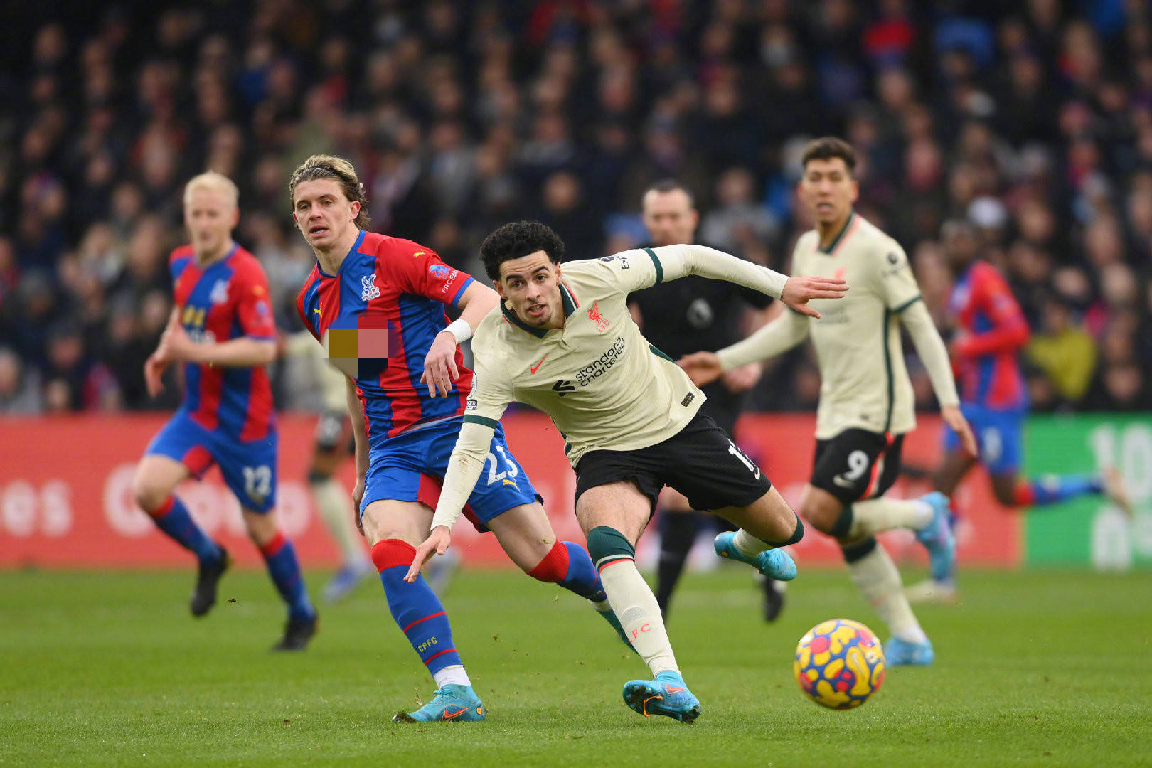 队后防调 队后防调